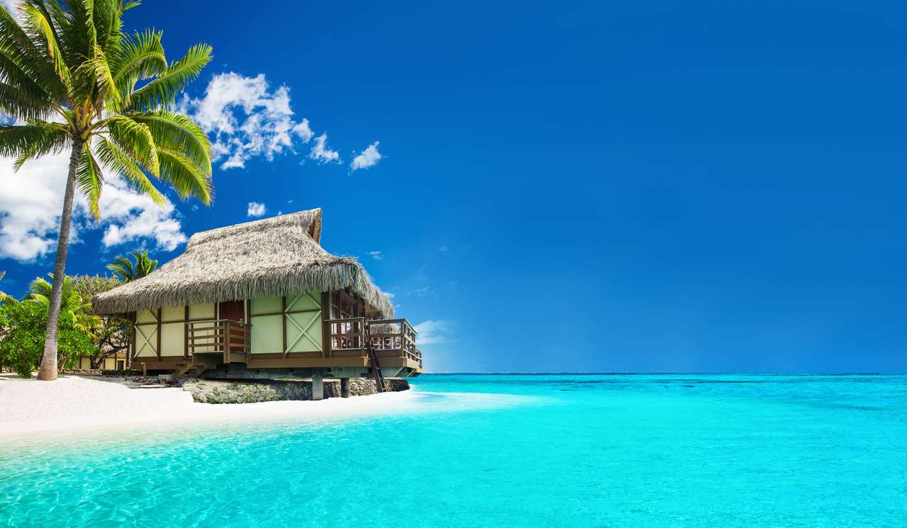 Tropický bungalov na úžasné pláži s palmou online puzzle