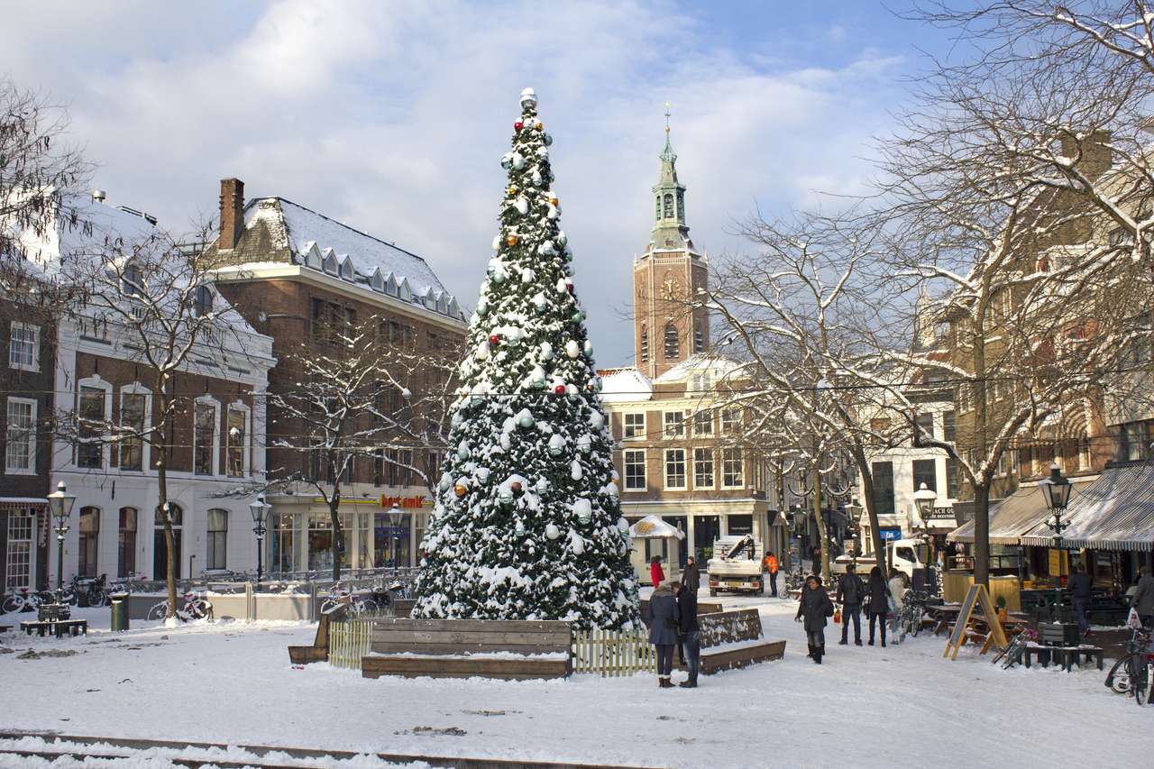 Gran árbol de Navidad en la nieve en La Haya rompecabezas en línea