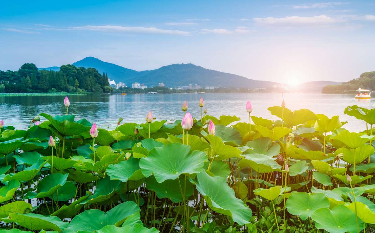 paysage d'étang de lotus puzzle en ligne