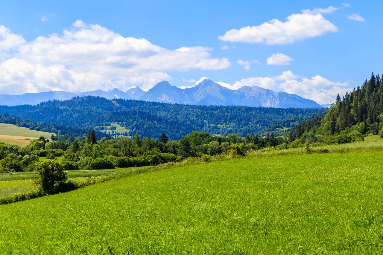 Tatrabergen på Polen Slovakien borde pussel på nätet