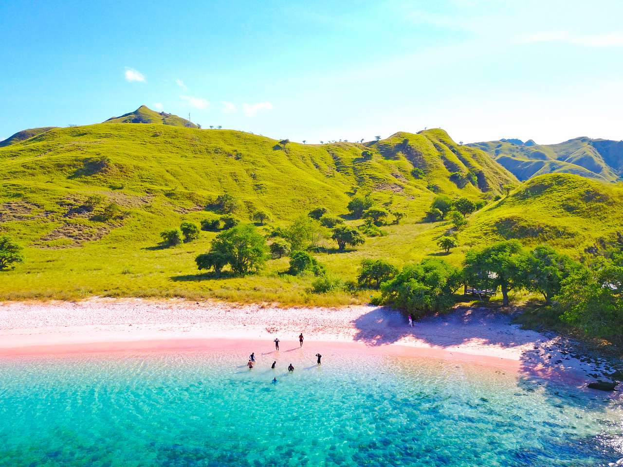 Roze strand in Flores online puzzel