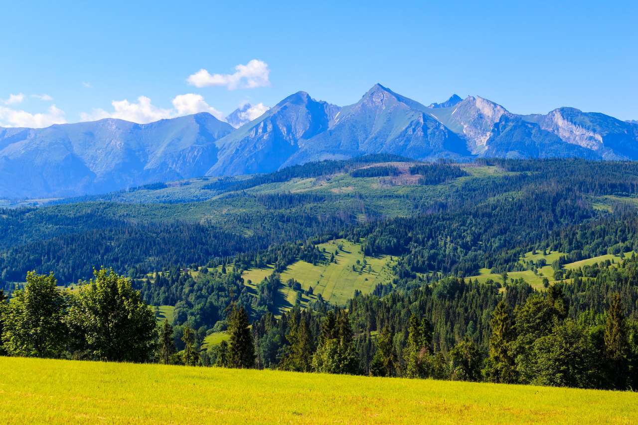 Panorama de las montañas Tatra rompecabezas en línea