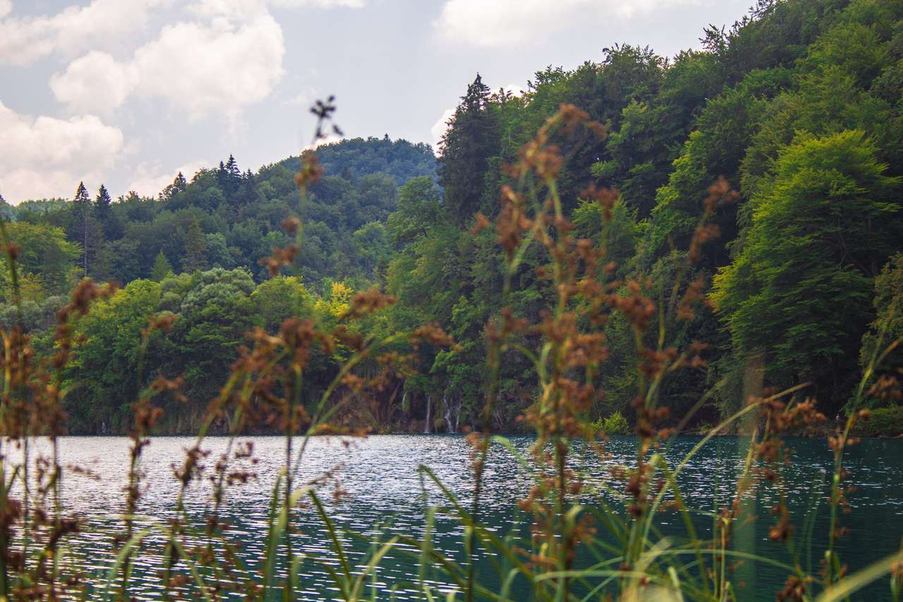 Национальный парк Плитвицкие озера в Хорватии пазл онлайн