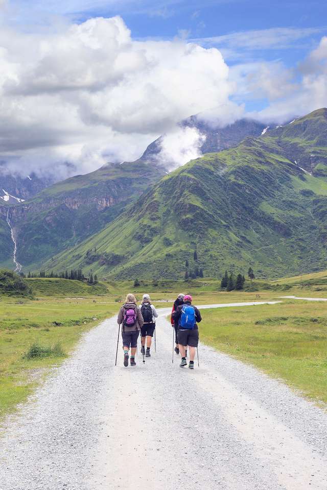 Caminhada nórdica nos Alpes puzzle online