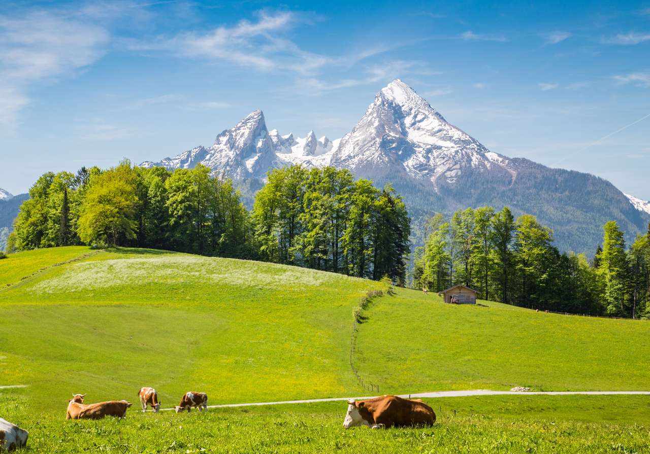 Idylliskt sommarlandskap i Alperna pussel