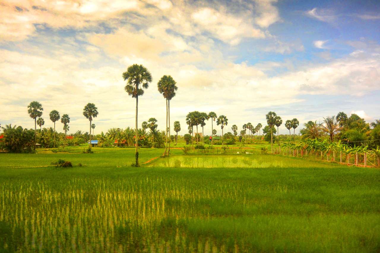 Пейзаж от Югоизточна Азия, Камбоджа онлайн пъзел