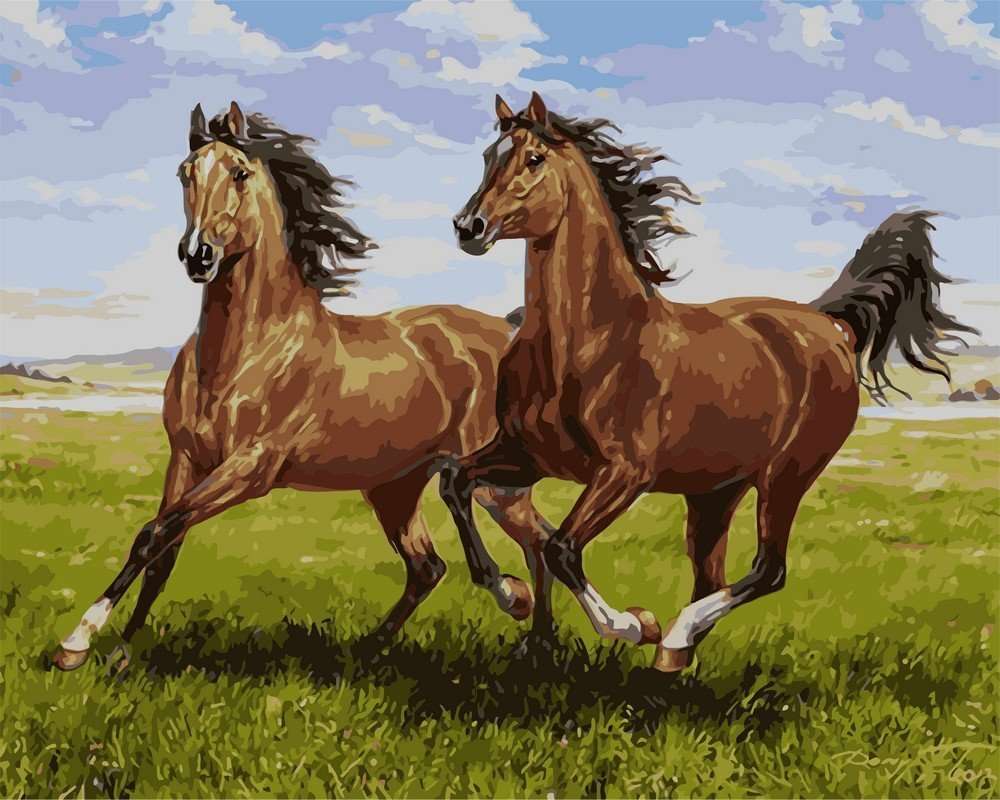 koně skládačky online