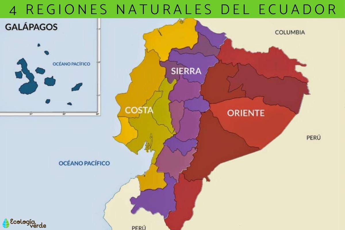 Regiunile Ecuador. puzzle online