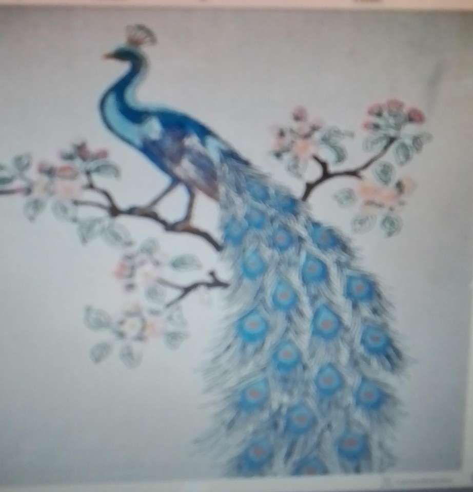 Peacock-fazan. jigsaw puzzle online