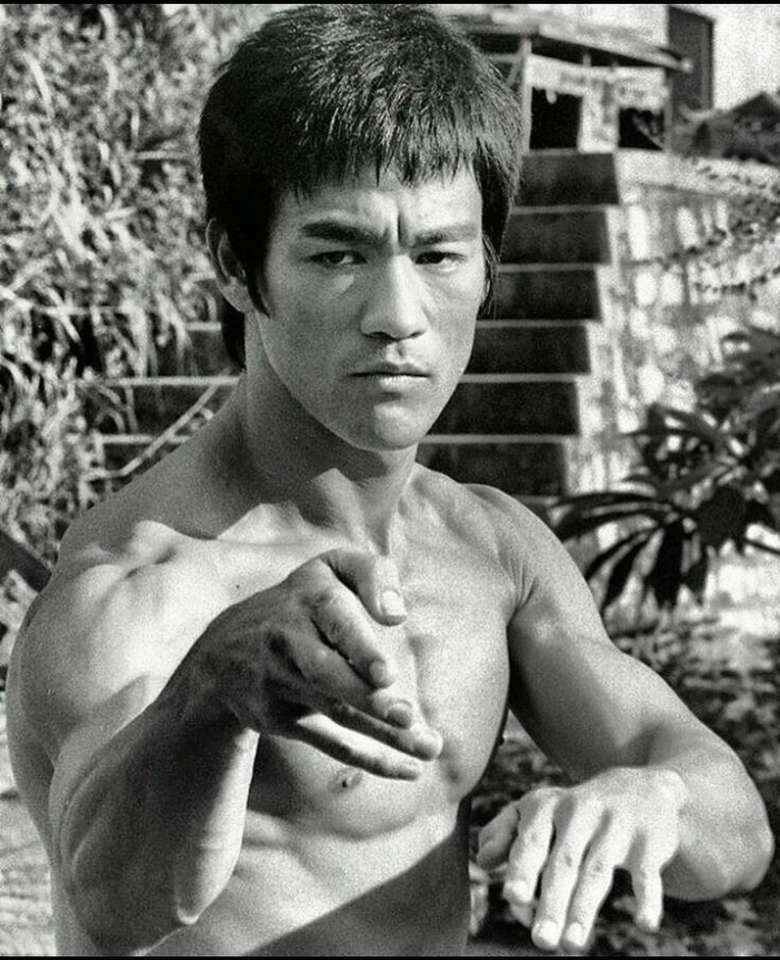 Bruce Lee rompecabezas en línea