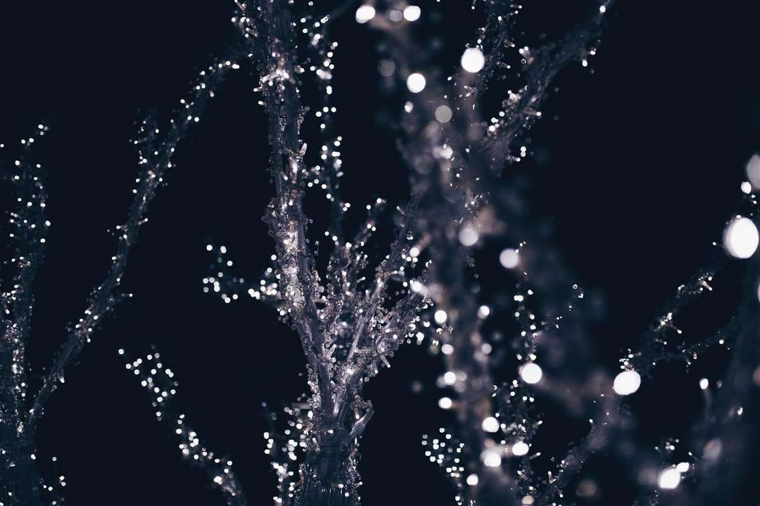 φώτα χορδών στο δέντρο κατά τη διάρκεια της νύχτας παζλ online
