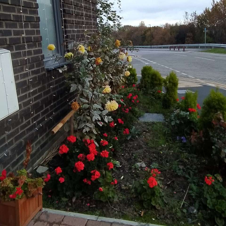 цветя в предната градина онлайн пъзел