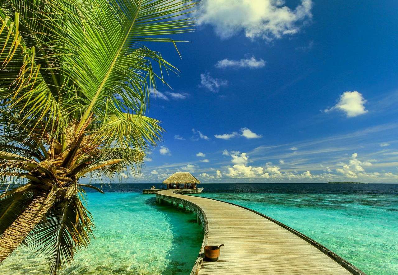 zee en palmbomen online puzzel