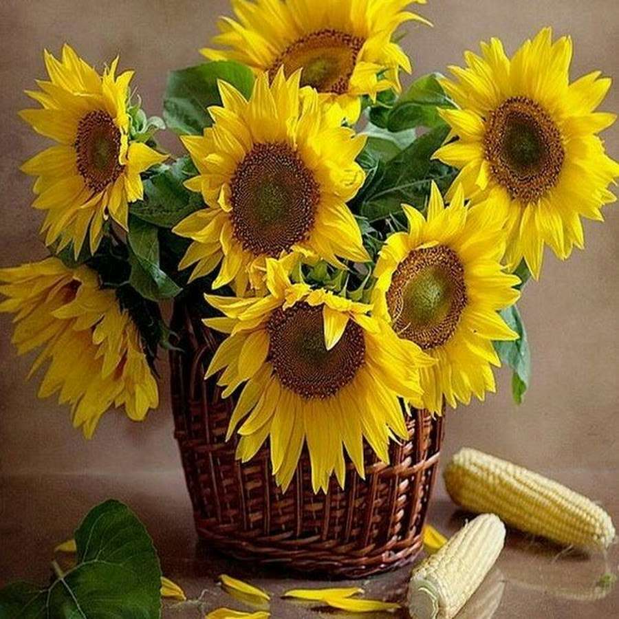 sunflowers online puzzle