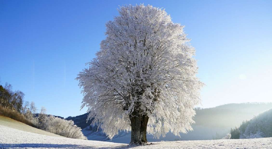 冬の風景 ジグソーパズルオンライン