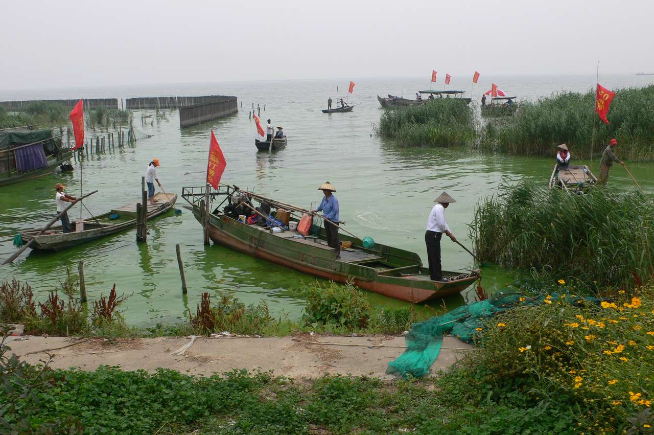 pescadores chinos rompecabezas en línea