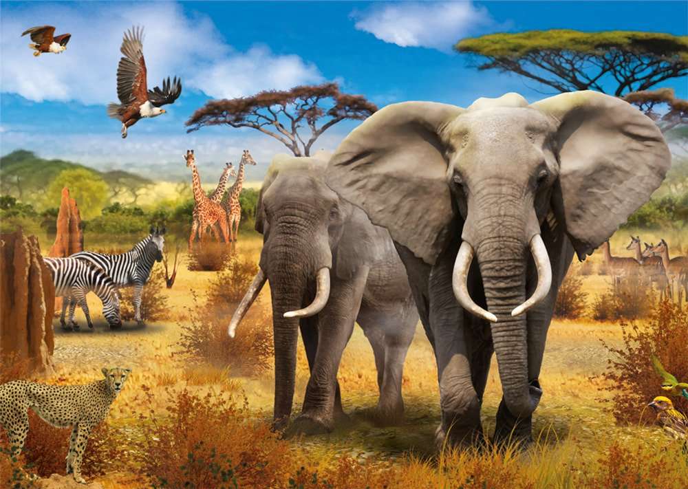 Afrikaanse savanne online puzzel