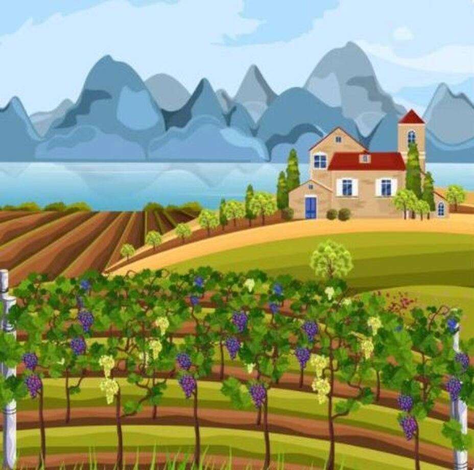 Op de hellingen van de wijngaard legpuzzel online