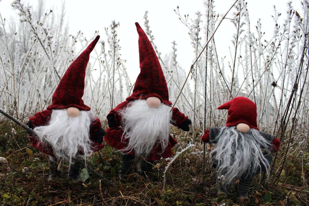 Drie kerstkabouters op gras legpuzzel online