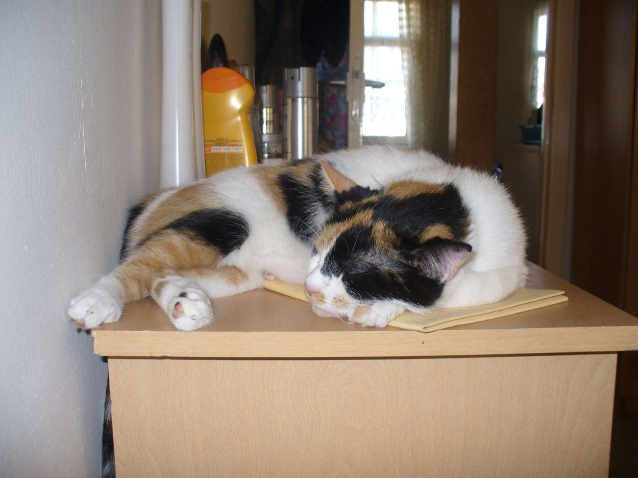 En kattunge som sover på skåpet Pussel online