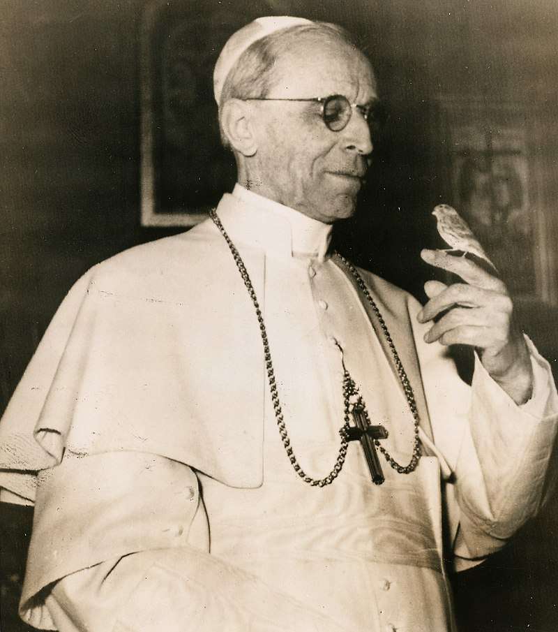 Påven Pius XII pussel på nätet