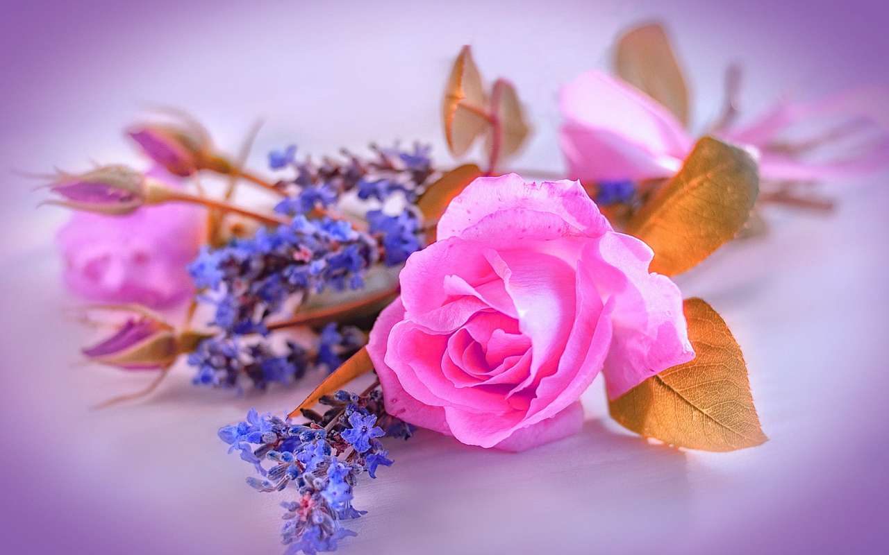 Blumenstrauß aus Rosen und Lavendel Online-Puzzle