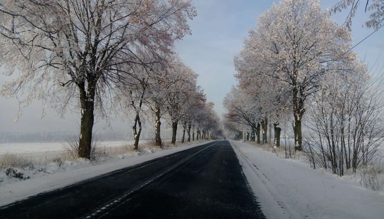 Зимата на пътя онлайн пъзел
