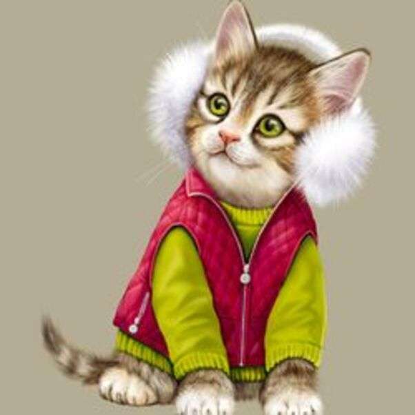 寒さからとても暖かい子猫 ジグソーパズルオンライン
