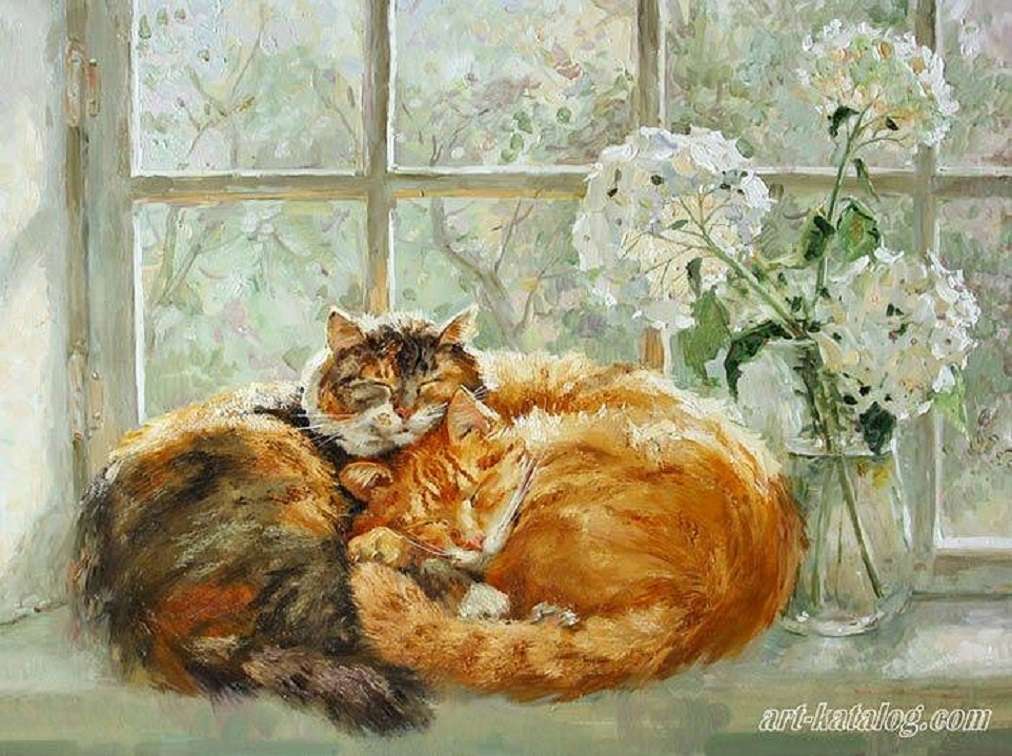 Two cats take a nap in front of the window jigsaw puzzle online