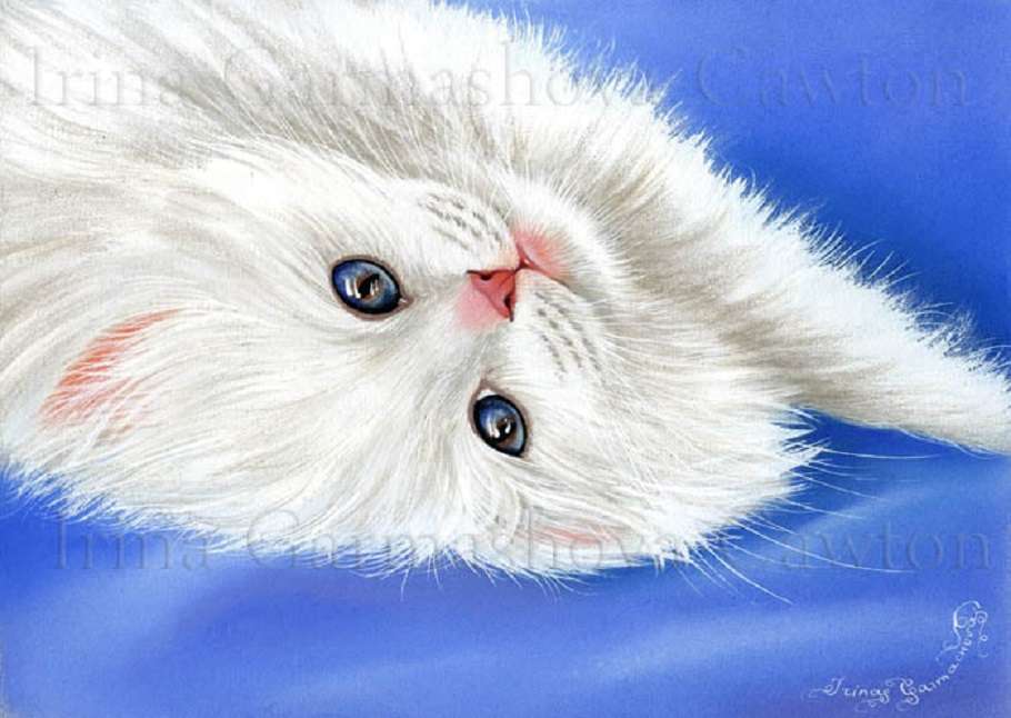 Ангорская кошка с голубыми глазами, самые красивые глаза... пазл онлайн