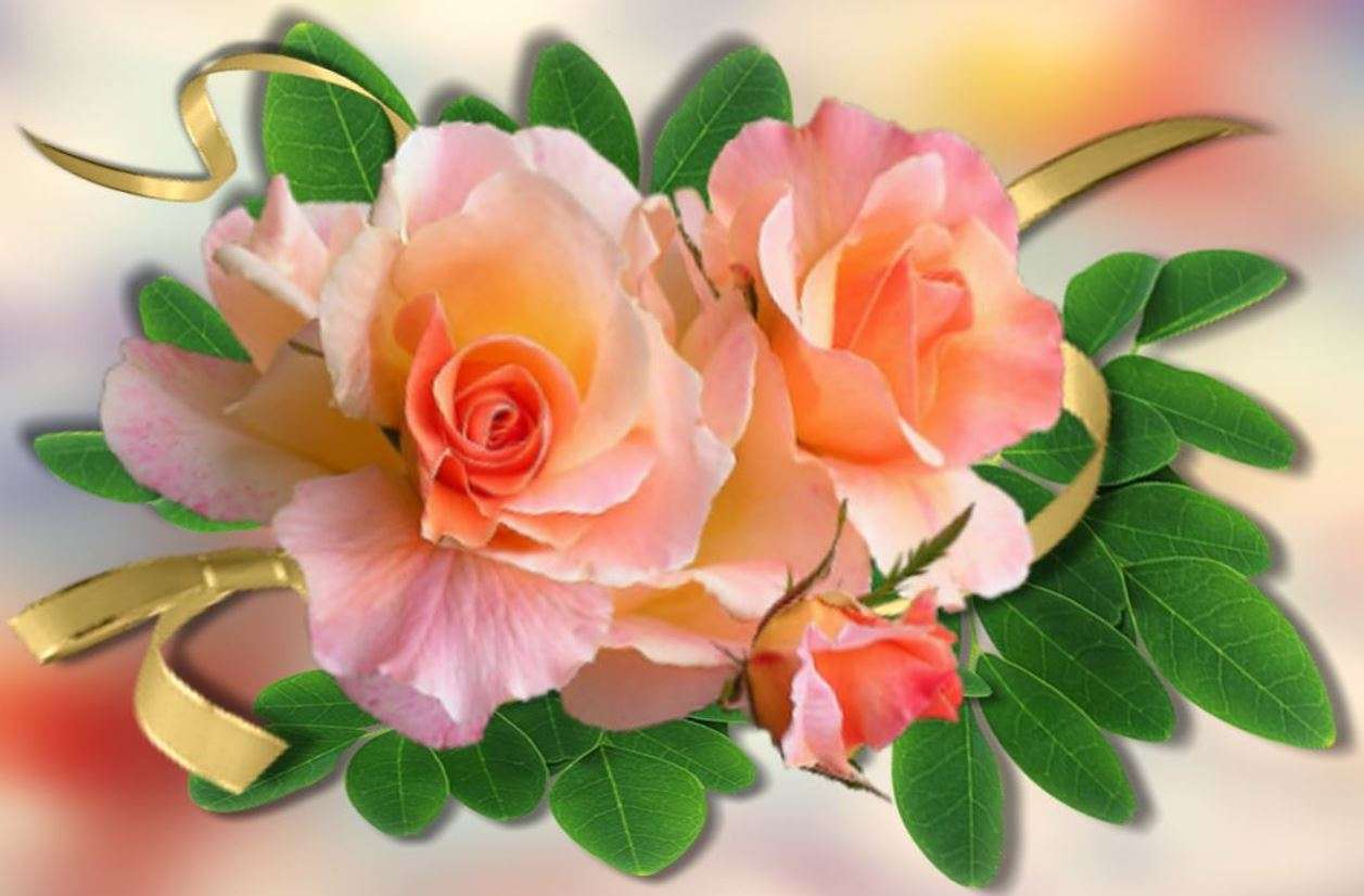 Popínavé, popínavé růže online puzzle