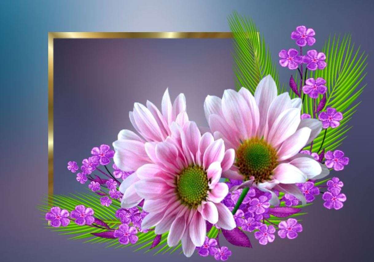 Όμορφα λουλούδια ζέρμπερα παζλ online