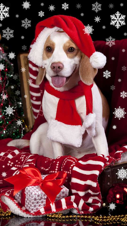 O cão está vestido festivamente puzzle online