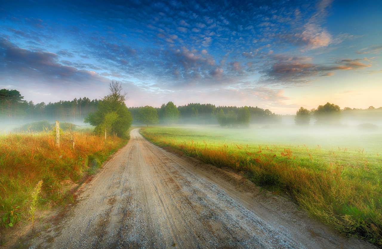 Beau paysage de matin brumeux d'été puzzle en ligne