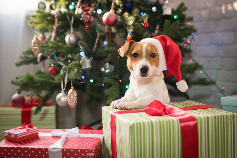 Куче и подаръци онлайн пъзел