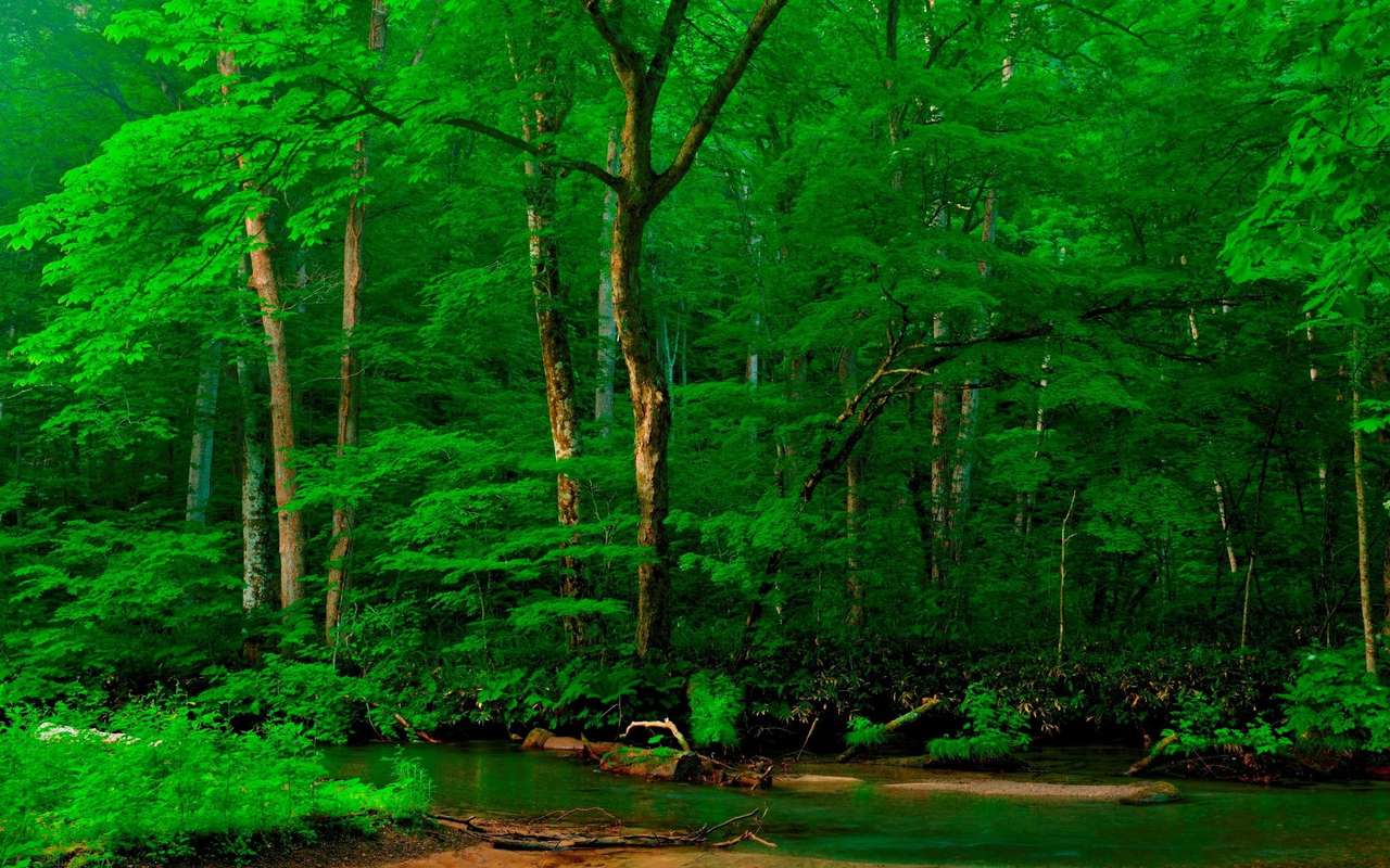 Ποταμός στο δάσος παζλ online