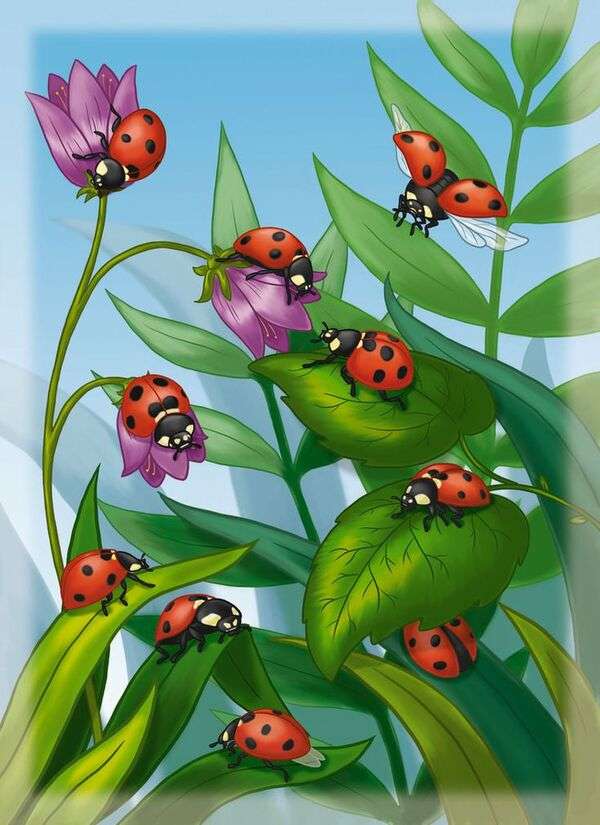 Group of ladybugs walking through the leaves online puzzle