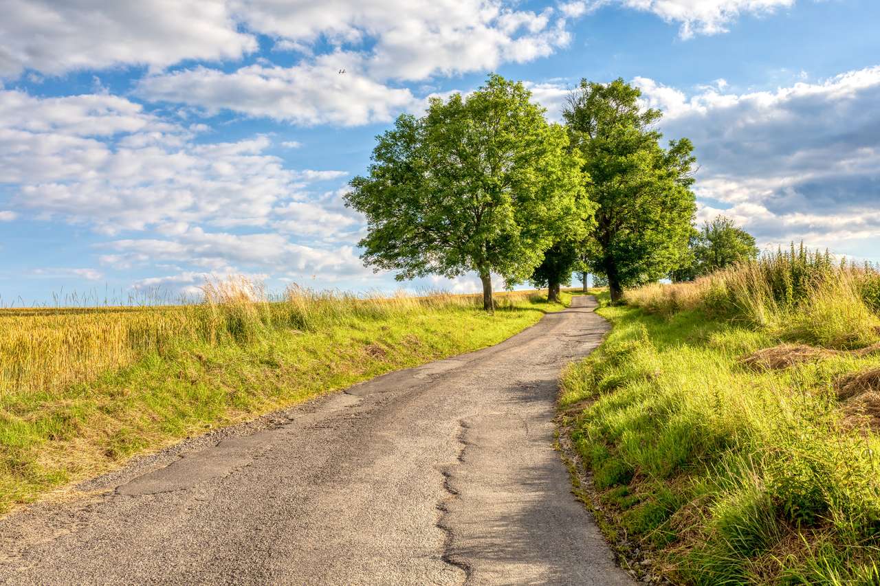 Asphalt road in the countryside jigsaw puzzle online