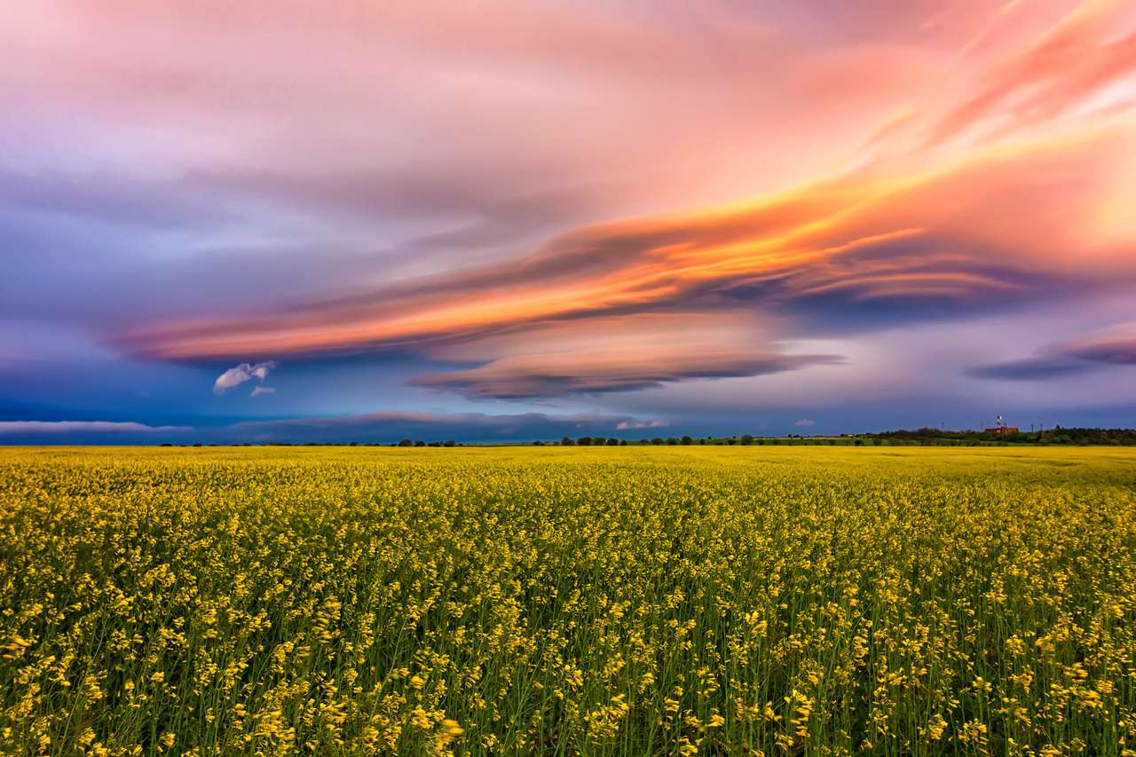 Csodálatos színes felhők a mező felett sárga repcével online puzzle