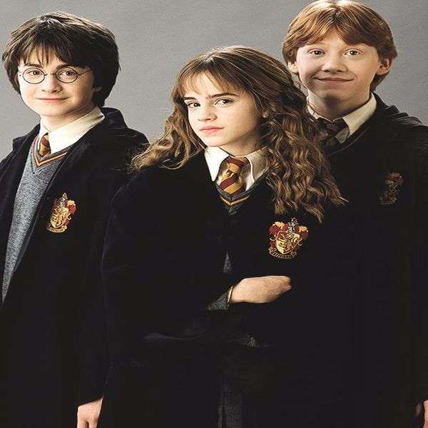 Harry Potter pussel på nätet
