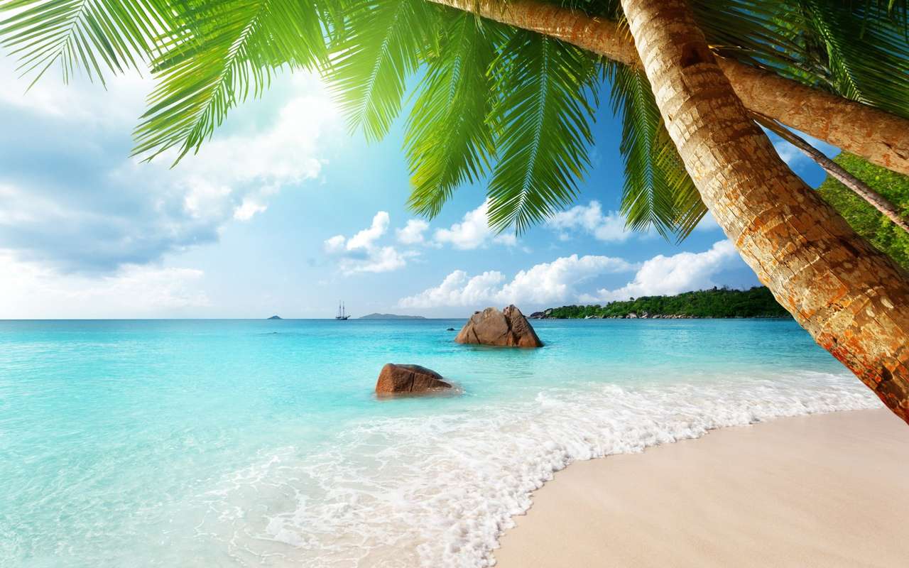 Hermosa playa vacaciones rompecabezas en línea