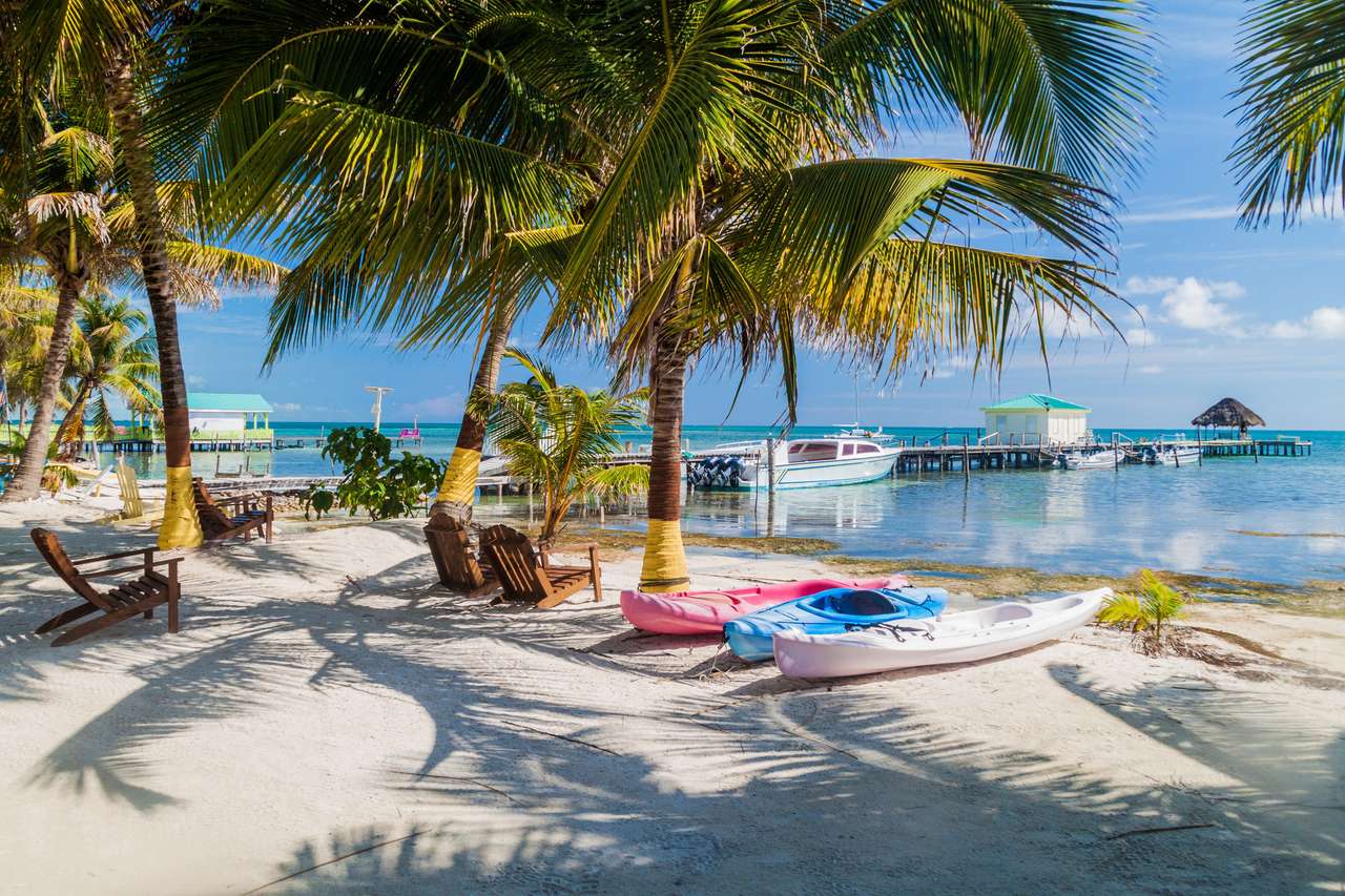 Palmen en strand op het eiland Caye Caulker, Belize legpuzzel online