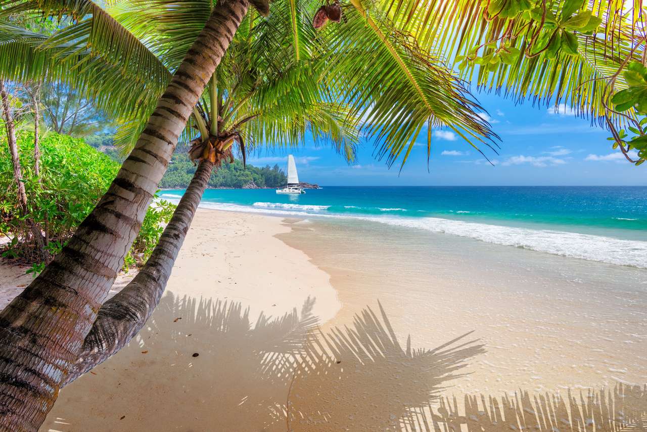 tropisch strand online puzzel