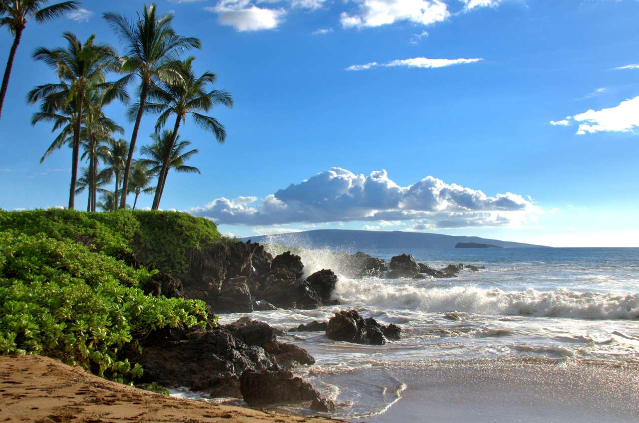 Tropisk hawaiisk strand med palmer Pussel online