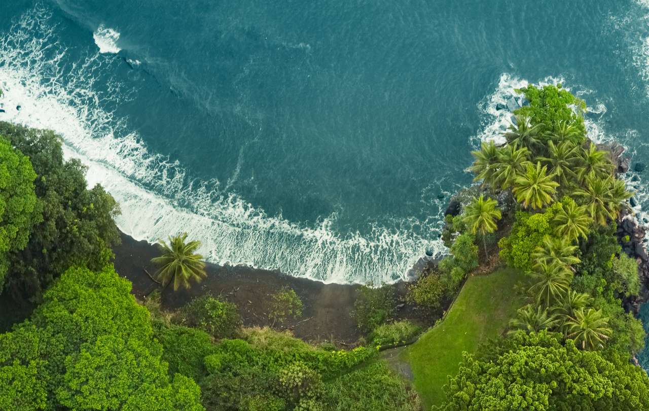 Пляж с черным песком на Гавайях пазл онлайн