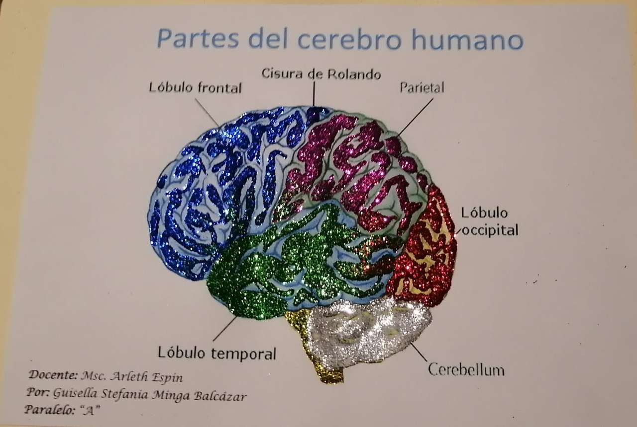 脳の部分 ジグソーパズルオンライン
