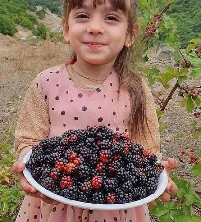 hermosa niña con moras rompecabezas en línea