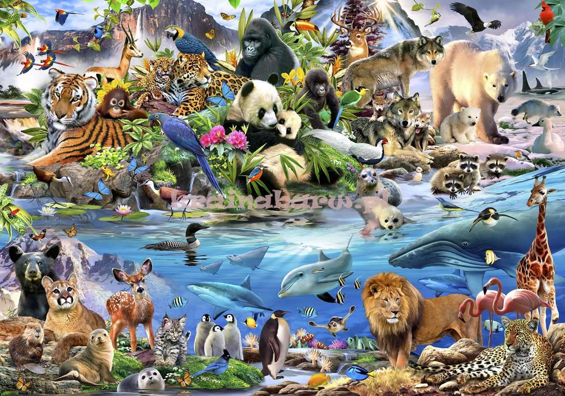 animali del mondo puzzle online