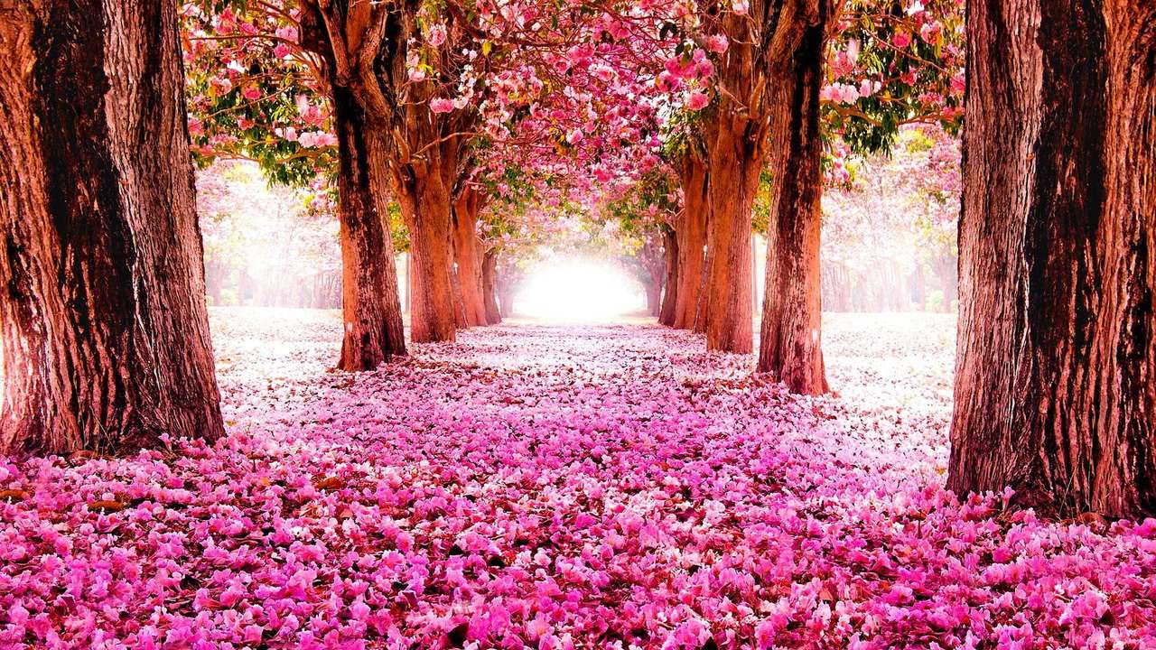 bosques de arboles rosas rompecabezas en línea