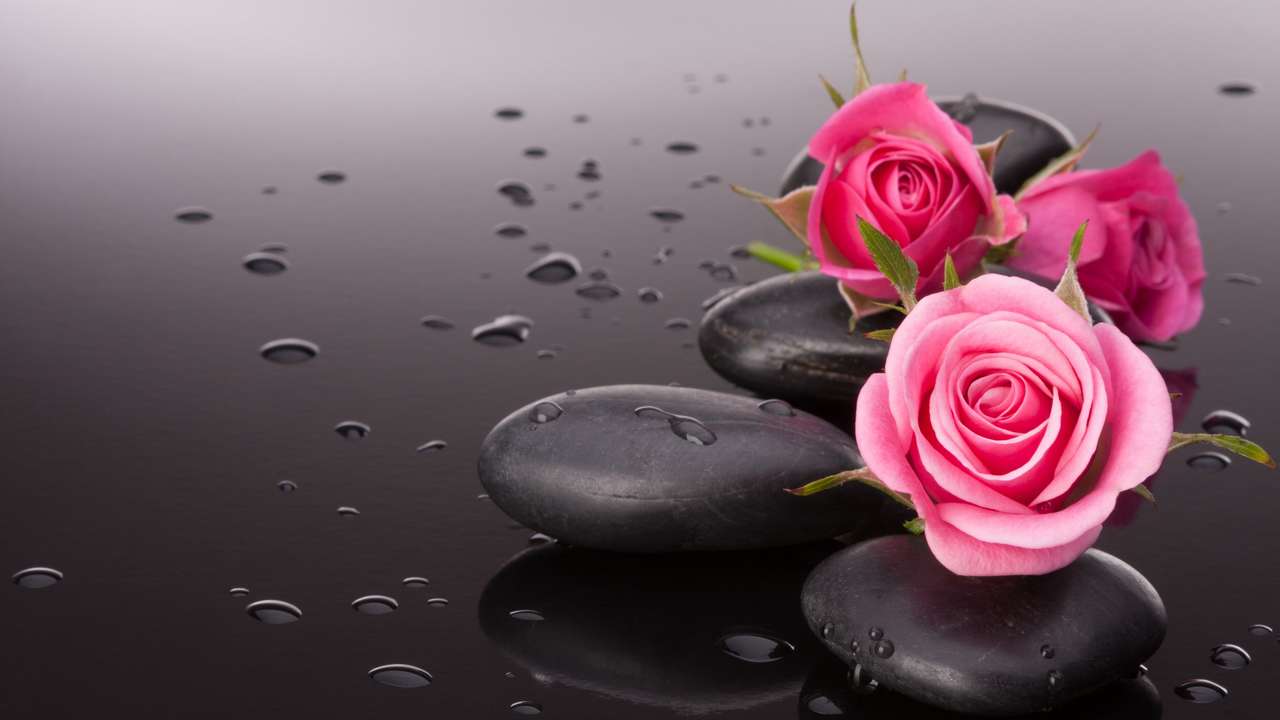 roses on stones jigsaw puzzle online